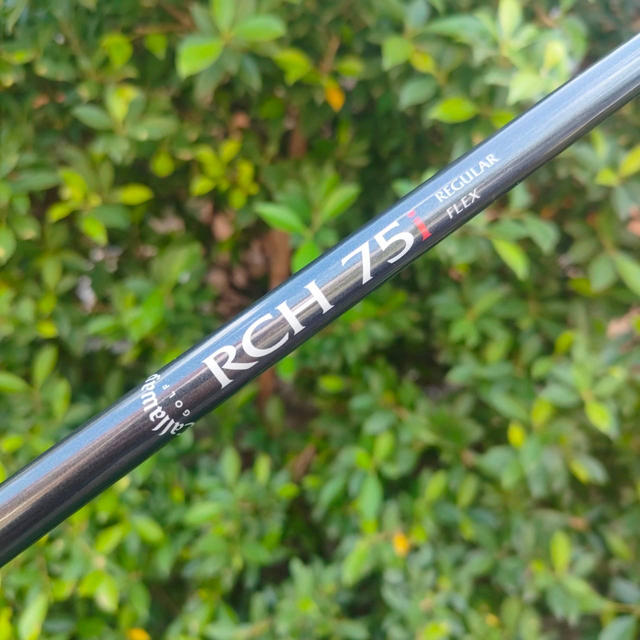 ชุดเหล็ก CALLAWAY BIG BERTHA มีเหล็ก 4-10 เเละ W ก้าน RCH 75 FLEX R สภาพสวยมาก เดิมๆทุกเหล็ก ไม้กอล์ฟมือสอง ของแท้ BY NakaraLuxurious