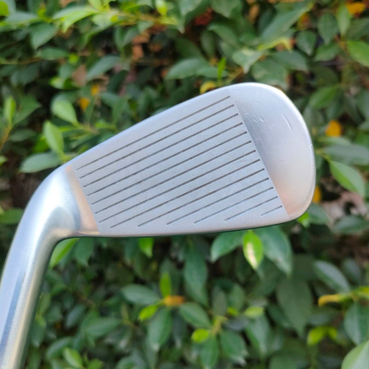 ชุดเหล็ก MAXFLI REVOLUTION มีเหล็ก 3-9 เเละ PW ก้าน DYNAMIC GOLD R300