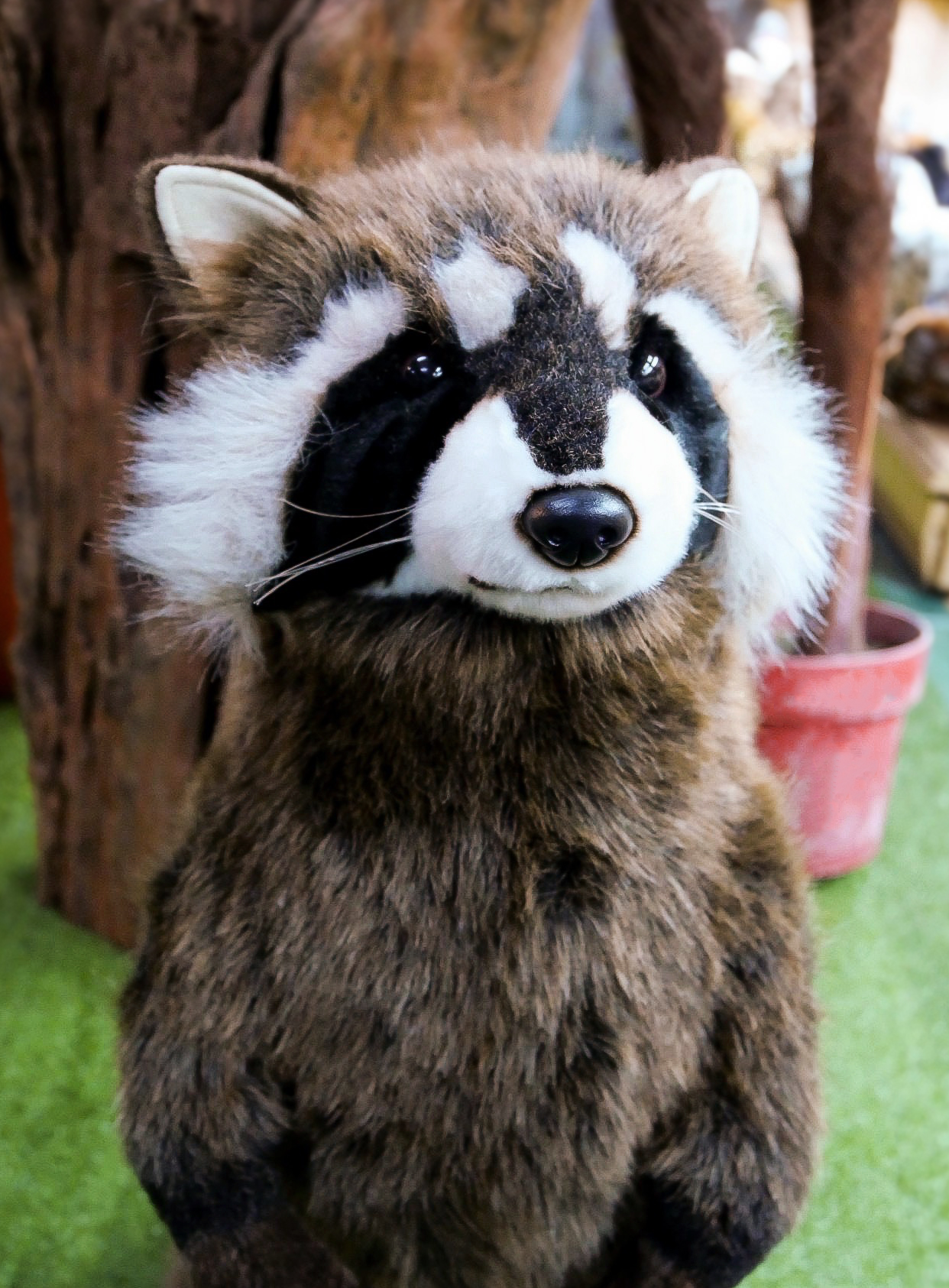 8412 Raccoon 65 cm H - ตุ๊กตาแรคคูน