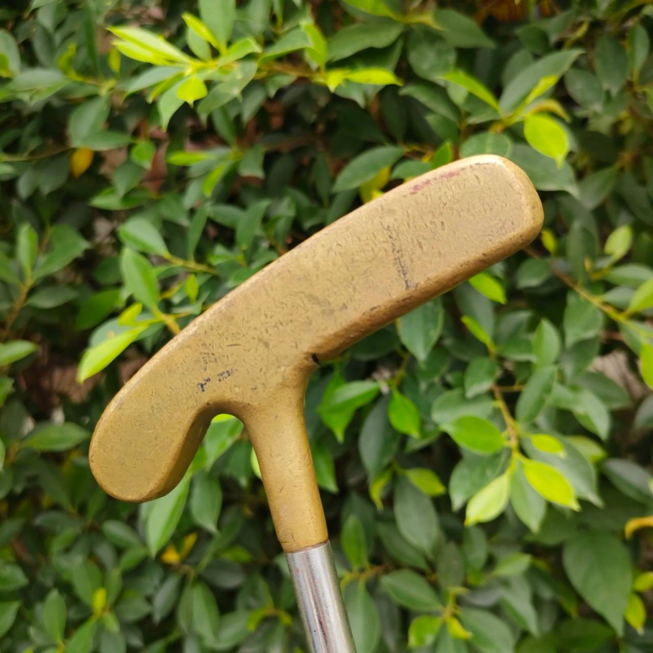 ** ไม้กอล์ฟสำหรับผู้หญิง ** PUTTER GREEN II ความยาว 32 นิ้ว ก้าน A ACT ทองเหลือง