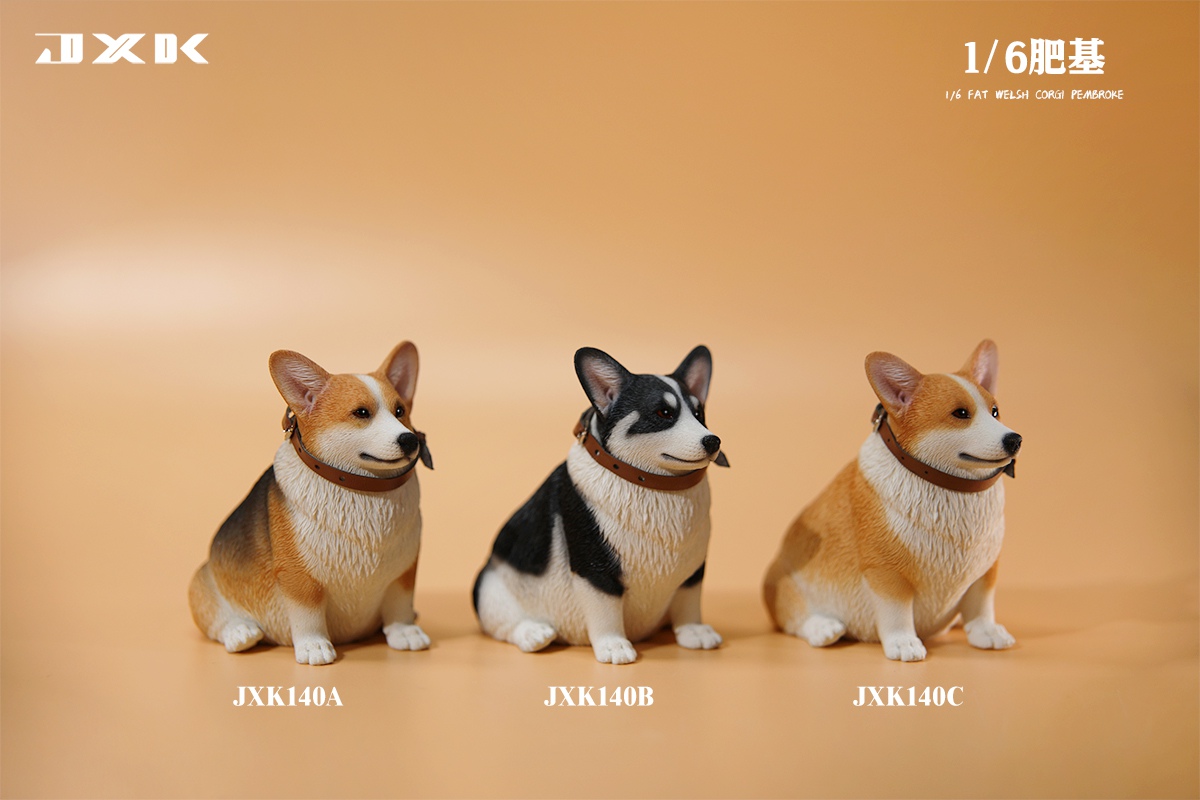 [สั่งจอง]JXK 1/6 : Fat Welsh Corgi Pembroke