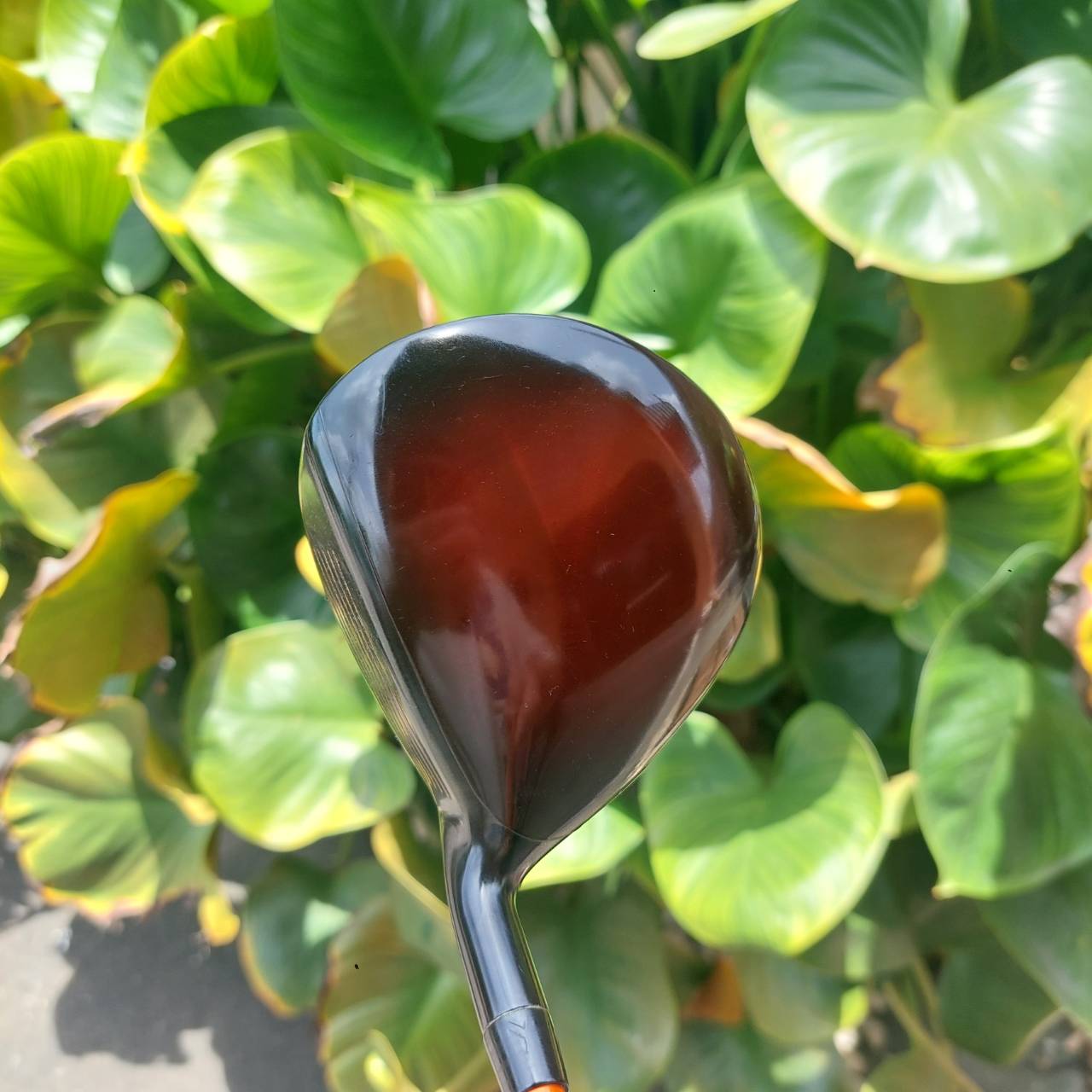 5W Katana Voltio IV G 5W (18°) แก้ตีเฟดได้ทันที ก้านโมมาเป็นหมื่น!!!