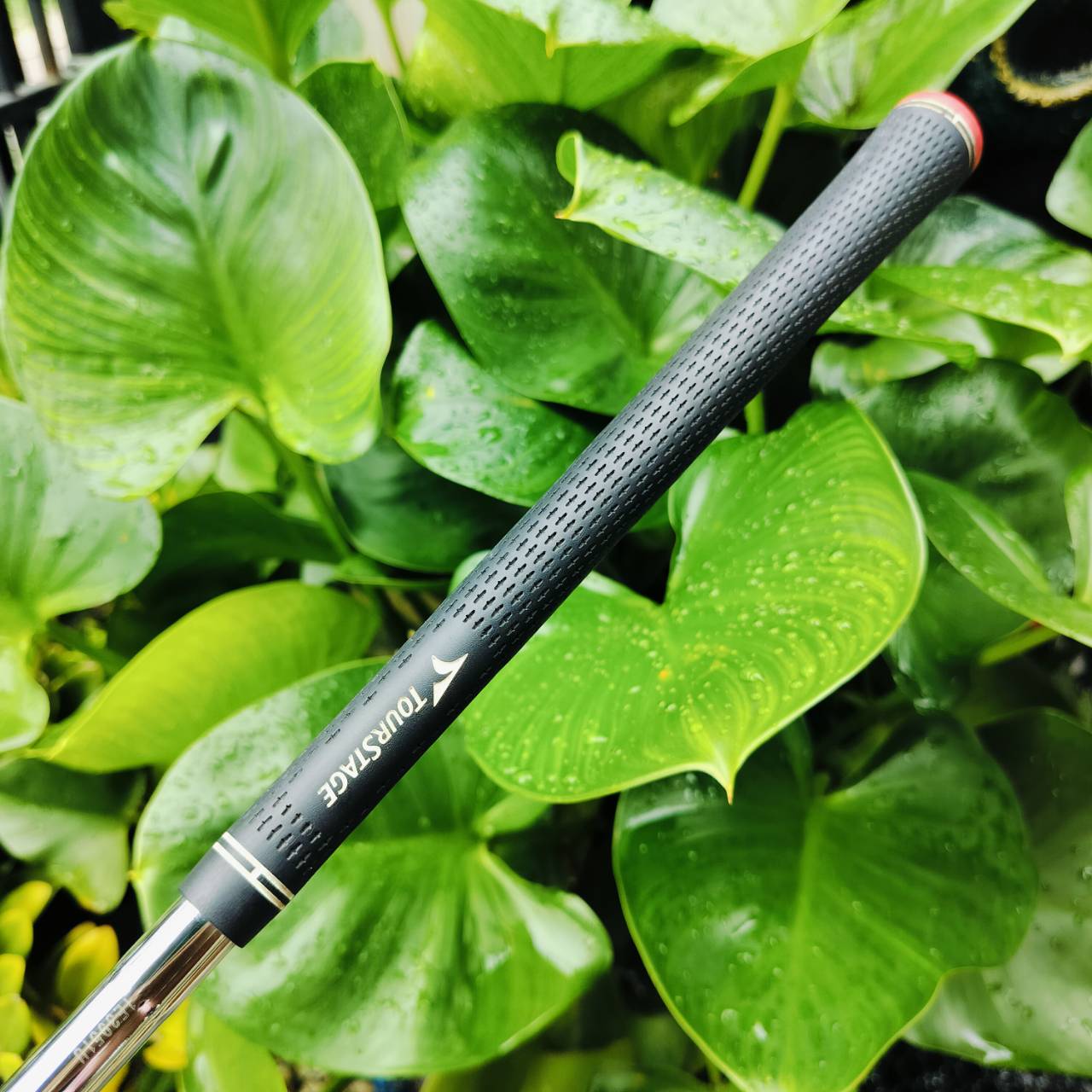 TOURSTAGE X-WEDGE องศา 52 BOUNCE 10 สำหรับท่านที่ชอบ WEDGE ญี่ปุ่น วัสดุ FORGED แถวหน้าของโลก ไม้กอล์ฟมือสอง ของแท้ By NakaraLuxurious