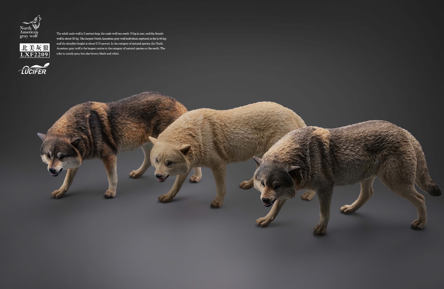 [สั่งจอง] JXK LXF2209 1/6 : Gray Wolf