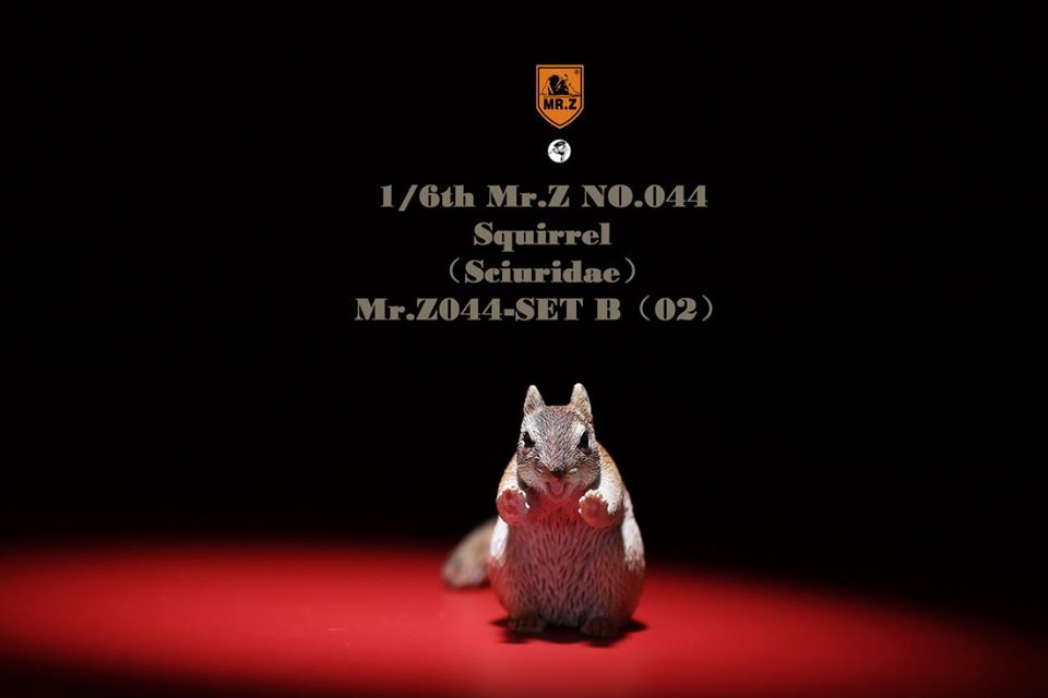 [สั่งจอง]Mr. Z Animal Model Mr.Z044 1/6th : Squirrell [Set A/B]