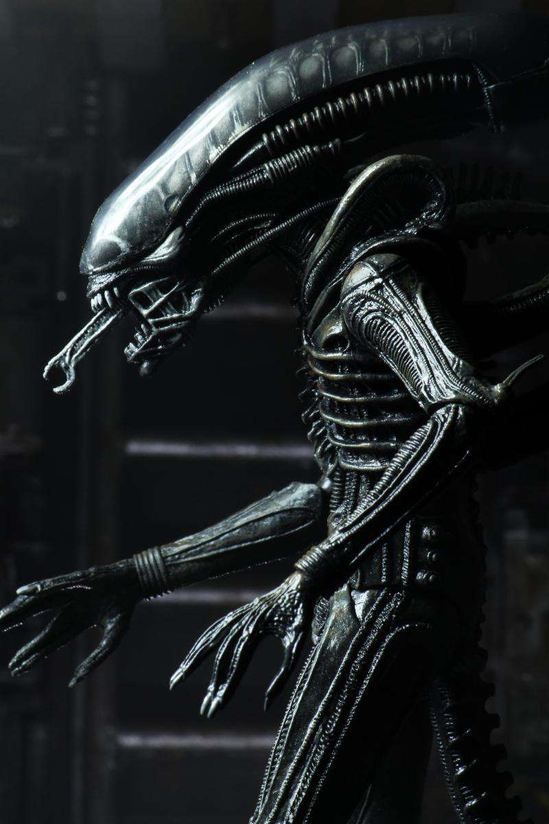 [สั่งจอง]Neca : Ultimate Alien Big Chap 40th Annniversary(9นิ้ว)