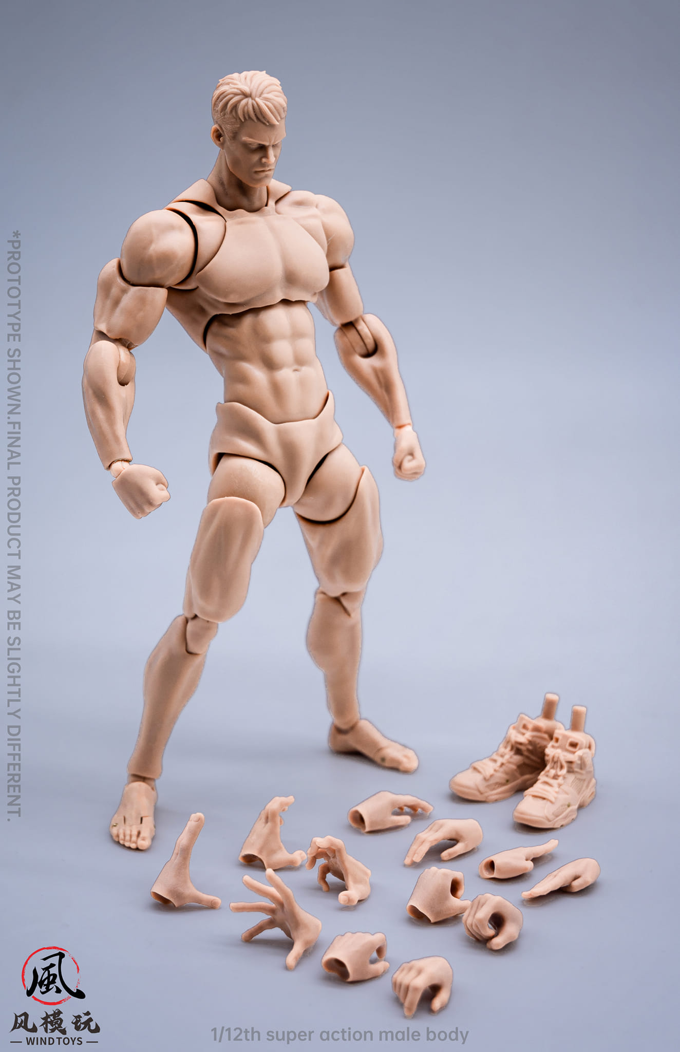 [สั่งจอง] Wind Toys 1/12 : Super Action Male Body