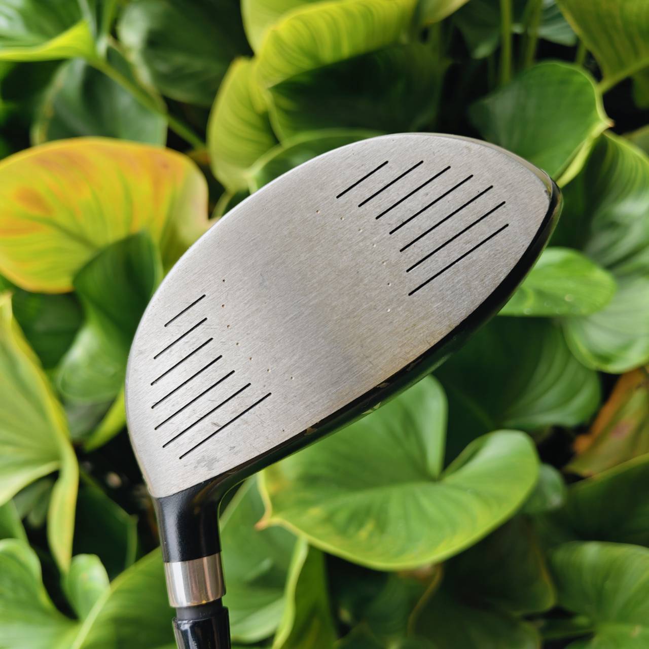 Driver NIKE SQ – ค่า M.O.I. 5900 สูงที่สุด! ตีตรงเป็นท่อ ตียังไงก็ตรง ตีเลี้ยวไม่ได้