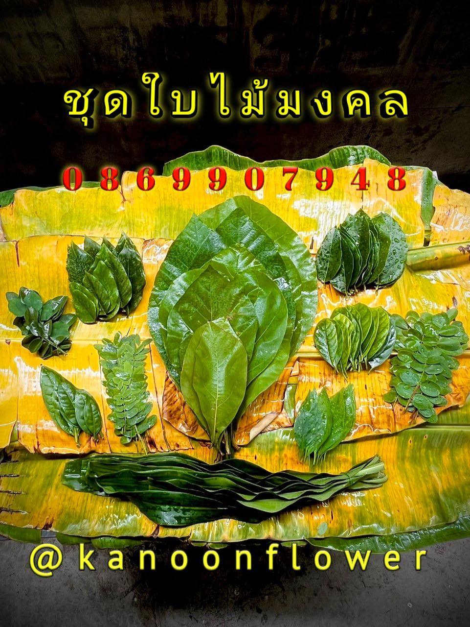 ใบไม้มงคล (พิธี)