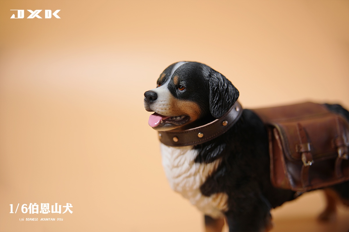 [สั่งจอง]JXK JXK144 1/6 : Bernese Mountain Dog