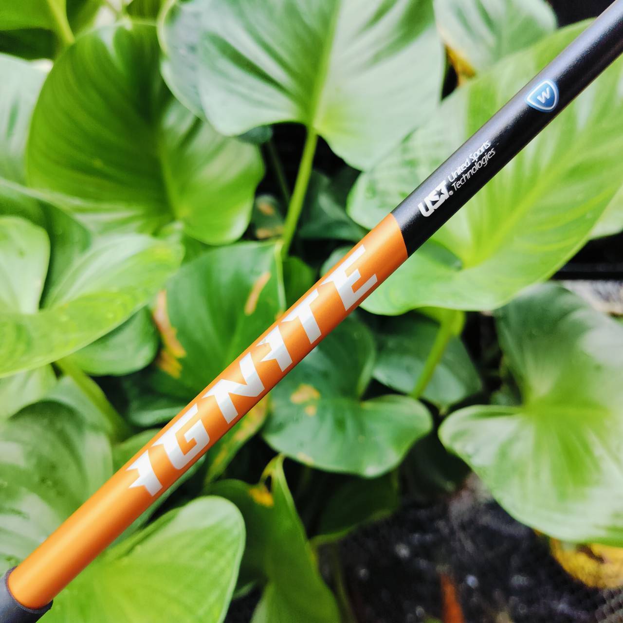 *** ไม้กอล์ฟสำหรับผู้หญิงหรือ ซีเนียร์ที่สวิงเบาๆ ตีได้สบายค่ะ*** . UT4 NIKE IGNITE ออกแบบเรียบหรูและตีดีมาก ไม้กอล์ฟพรีเมี่ยมมือสอง ของแท้ By NakaraLuxurious