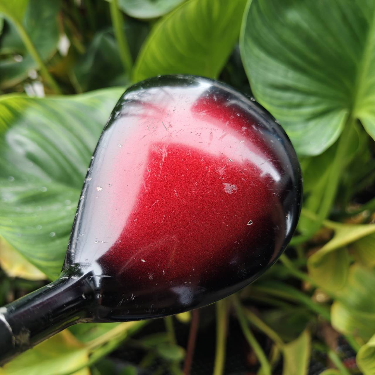 3W Maruman MAJESTY ระดับ "Hi-End" หรือ "Super Premium" ของวงการกอล์ฟญี่ปุ่น