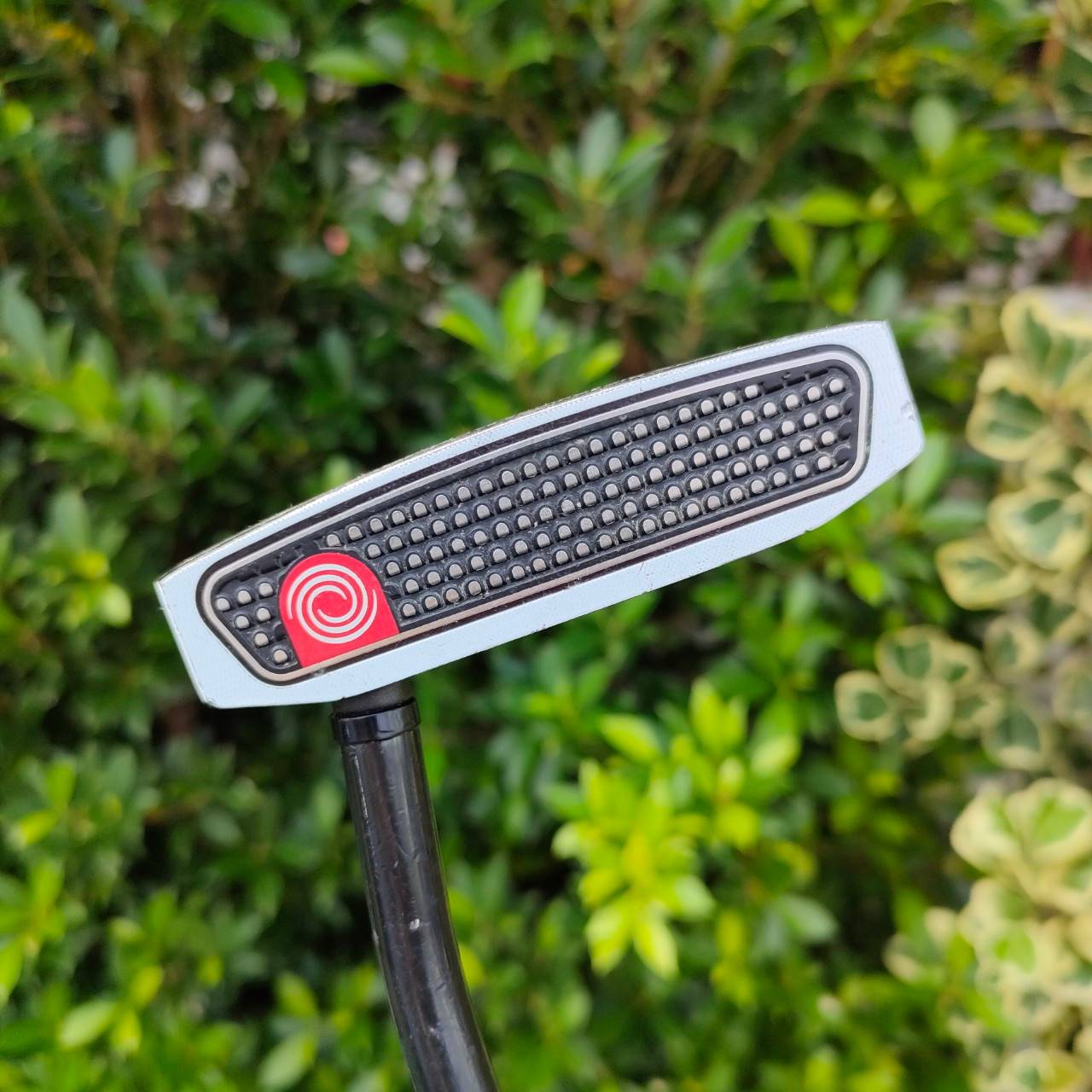 PUTTER ODYSSEY O WORKS 7 ความยาว 34 นิ้ว ก้านดำ สวยมาก เป็นรูปแบบยอดนิยมที่สุดในเวลานี้ พัตต์ดีมากๆ พัตต์ตรง หน้าสัมผัสดีมาก