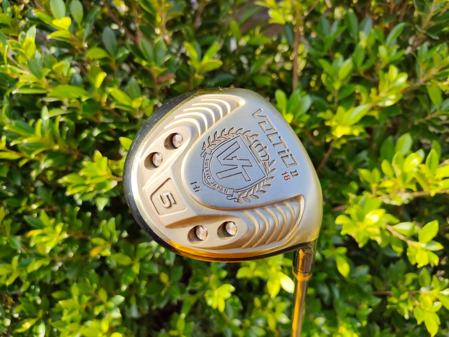 FW5 KATANA VOLTIO II