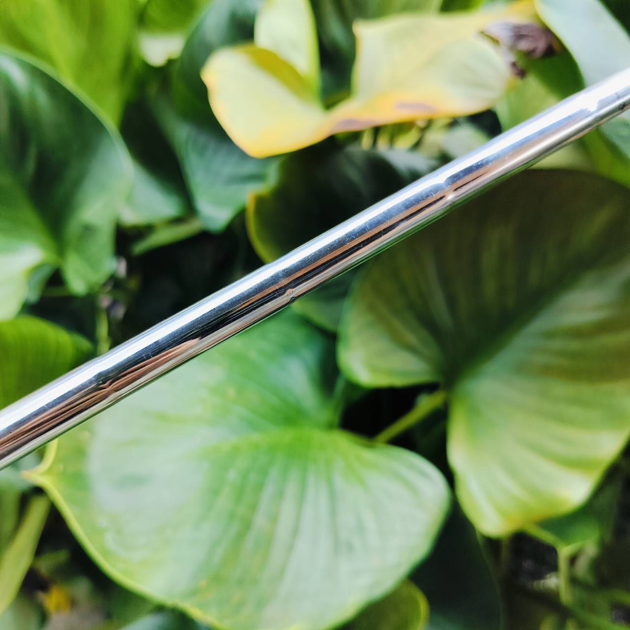 WEDGE CLEVELAND CG10 องศา 56 สองจุด STANDARD BOUNCE ก้าน DG WEDGE FLEX ร่องหน้าไม้ทำงานได้อย่างเต็มที่ ตกหยุดถอยหลังแน่นอนค่ะ ไม้กอล์ฟพรีเมี่ยมมือสอง ของแท้ By NakaraLuxurious