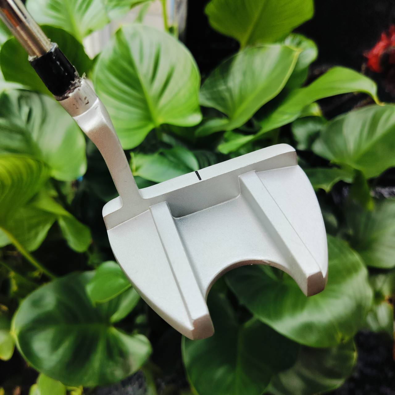 PUTTER COUGAR TAIWAN ความยาว 36 นิ้ว กริพแบบนุ่มใหญ่ SUPER STROKE ไม้กอล์ฟพรีเมี่ยมมือสอง ของแท้ By NakaraLuxurious