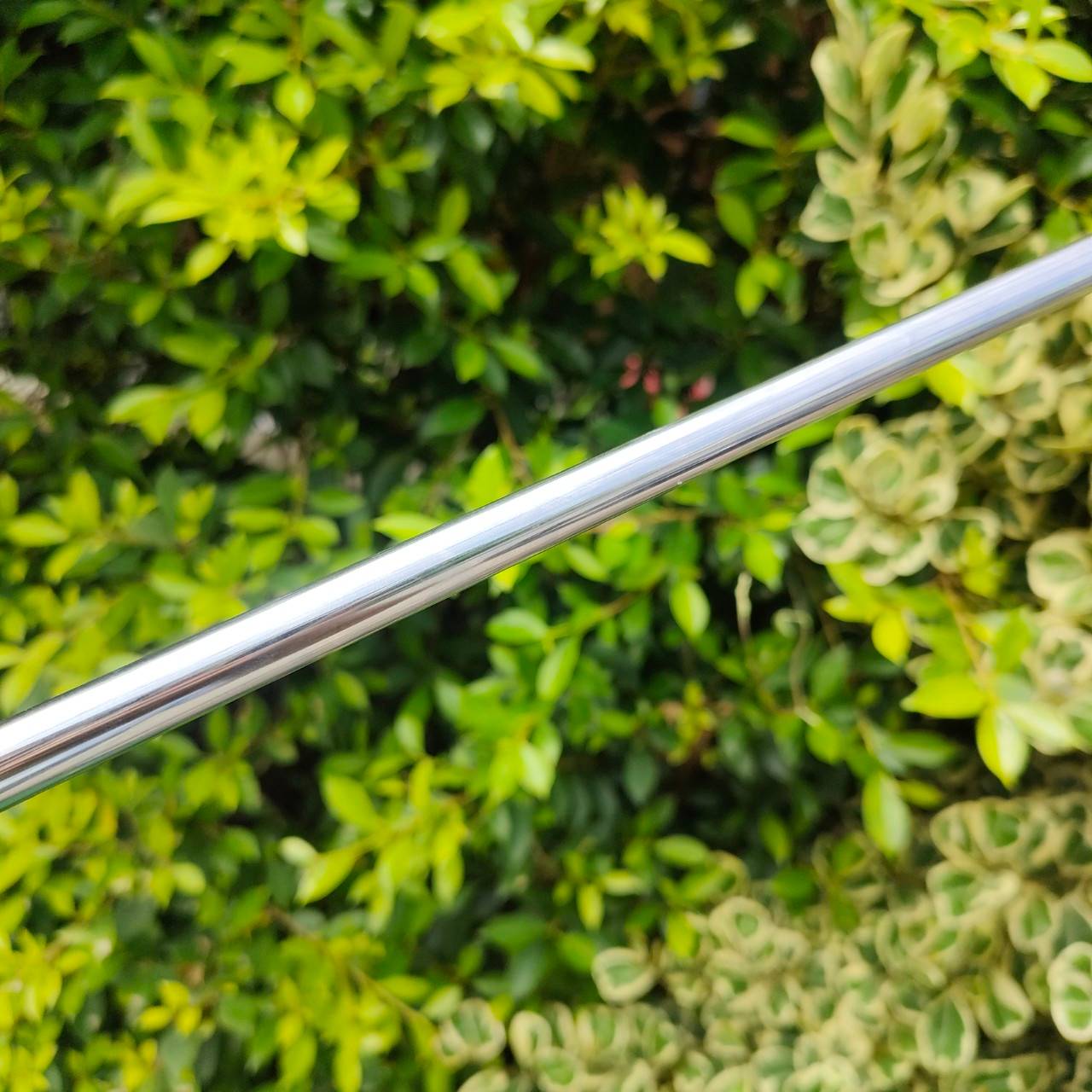 Scotty Cameron Catalina Classic ความยาว 34 นิ้ว สวยมากๆ พร้อม COVER เดิม เป็นรุ่น LIMITED หายากมากๆ ตอนนี้มืองสอง ราคาในต่างประเทศ ประมูลพุ่งไปถึง 5 หมื่นบาท สุดยอดของสุดยอดคุณภาพ สวย เดิม COVER เดิม