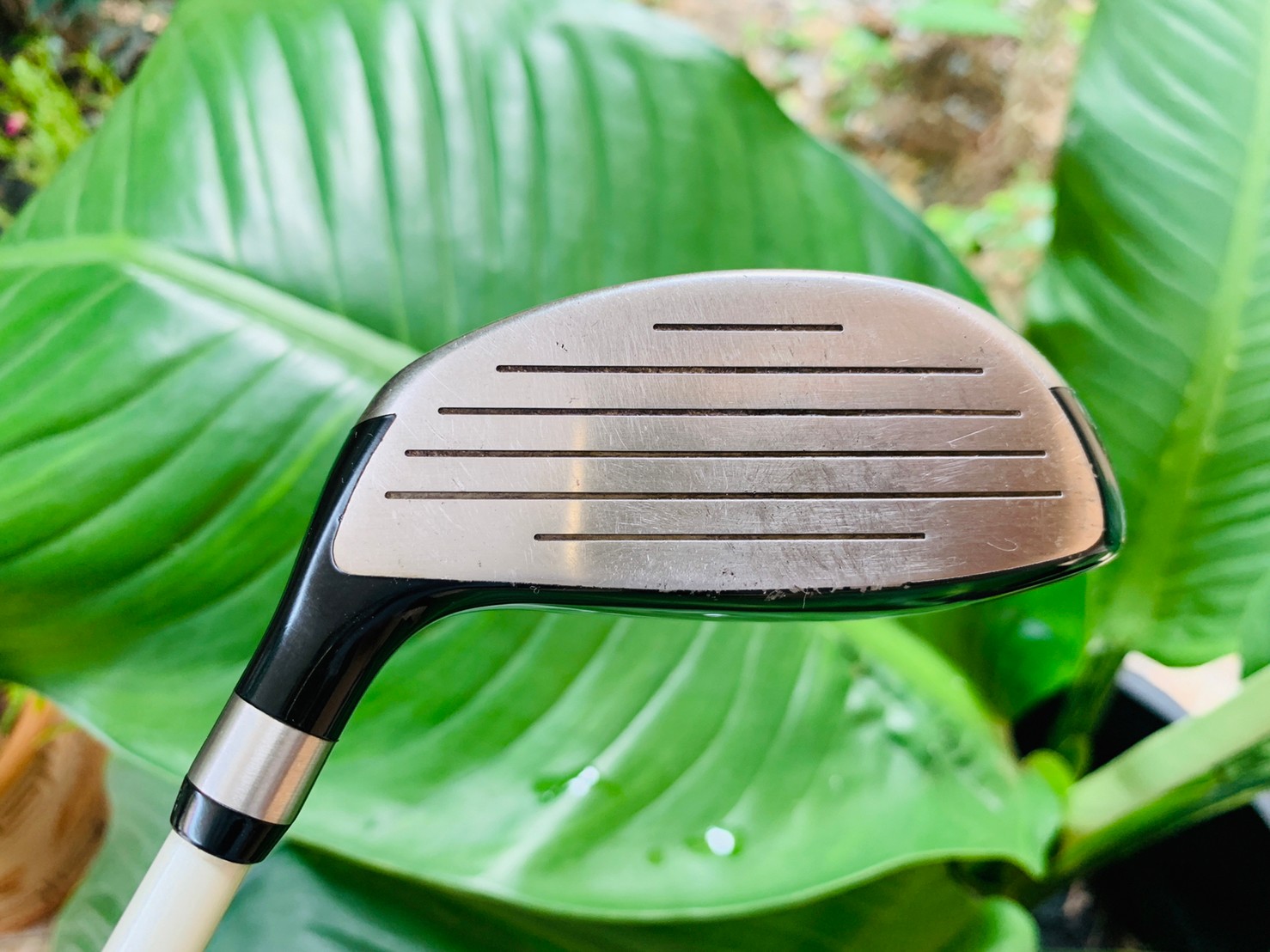 FAIRWAY 3 TSURUYA GOLDENPRIX-VX-