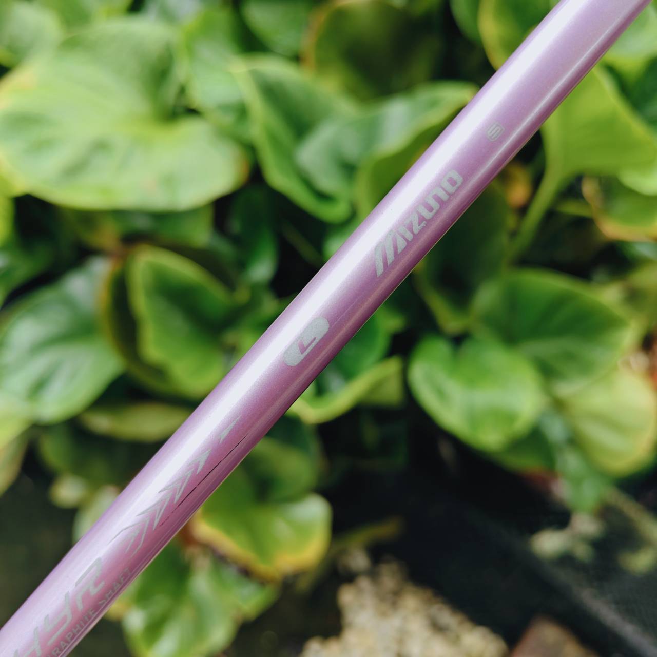 7W MIZUNO ZEPHYR – Each Gravity Design / Flex Lady 🌸