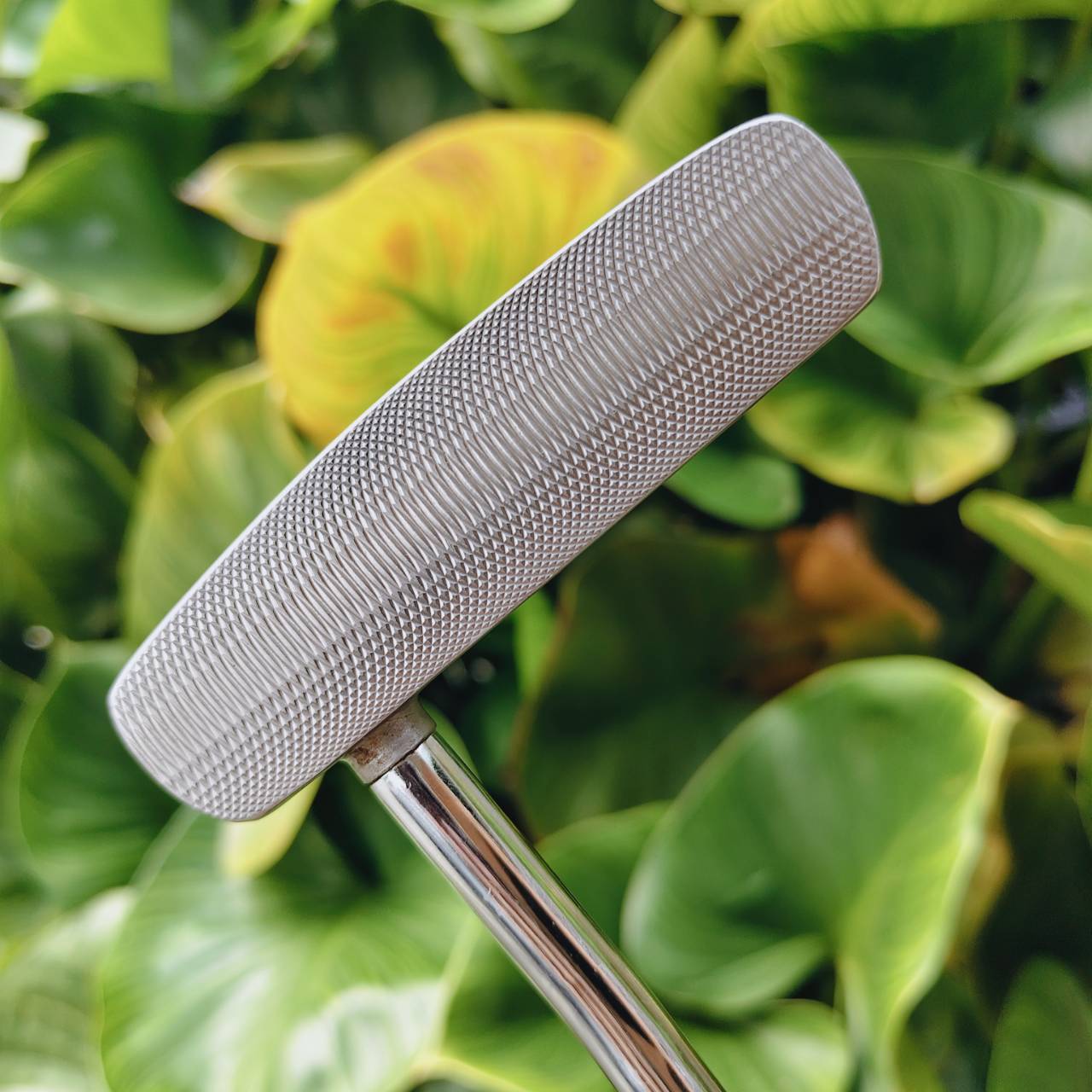 PUTTER ROGER KING RK-X09 ยาว 34 นิ้ว Golf Pride Reverse Taper Putter Grip