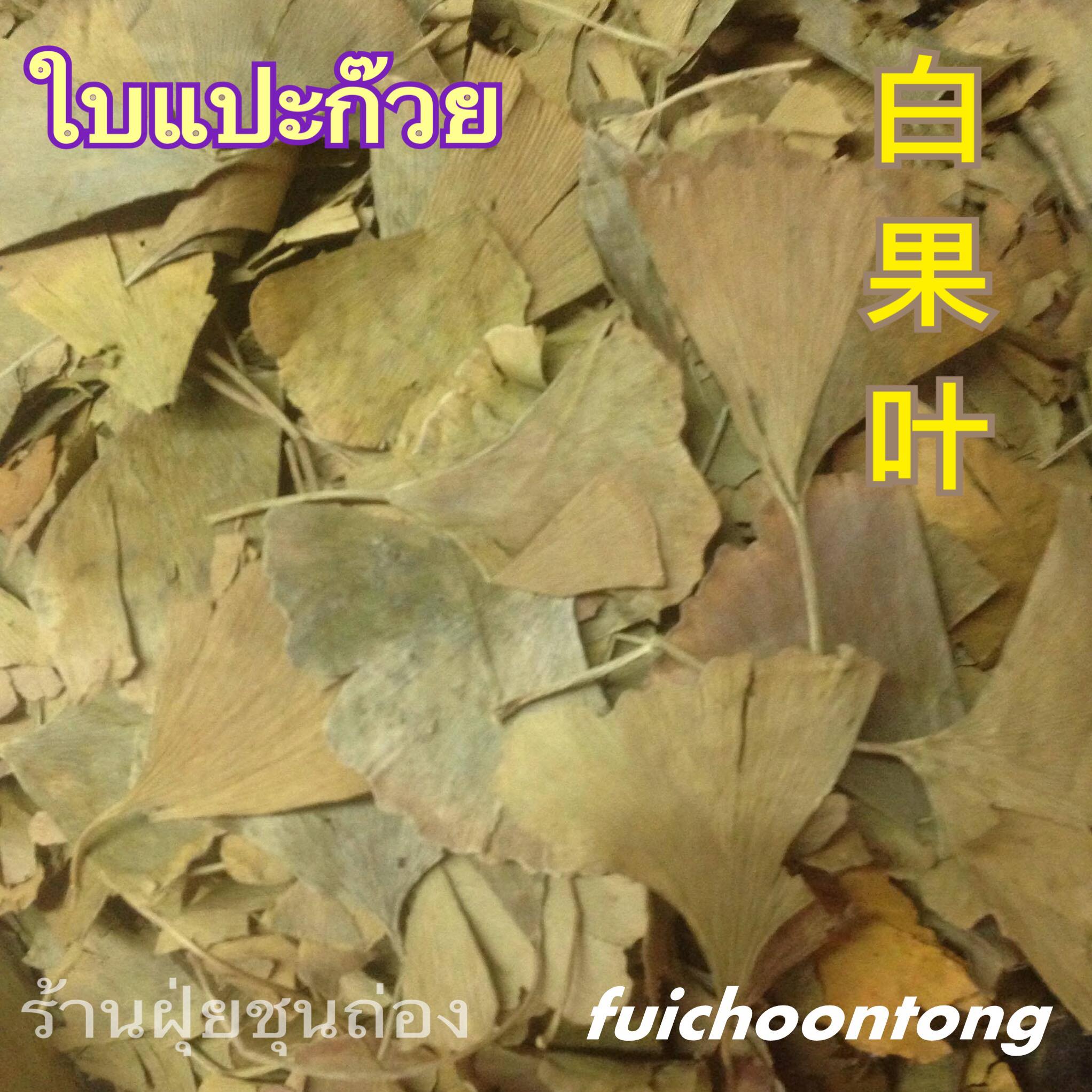 ใบแปะก๊วย