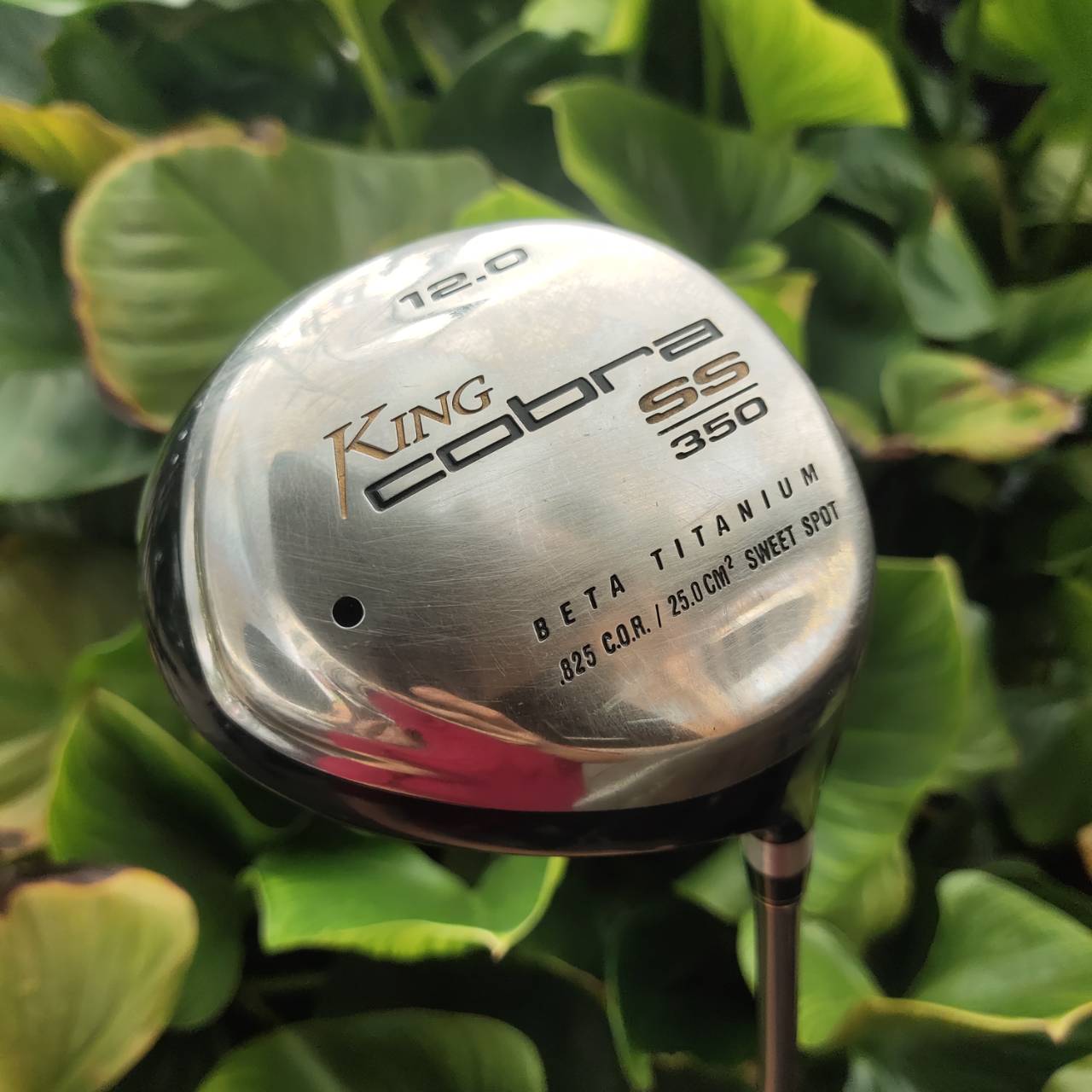 Driver KING COBRA SS BETA TITANIUM COR .825 หน้าเด้งมาก จุดสวีตสปอตกว้าง