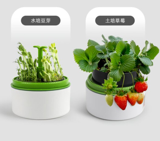 ชุดปลูกพืช สำหรับเด็ก ของเล่นเสริมพัฒนาการ, สื่อการสอนเด็กอนุบาล ,ของเล่นเสริมพัฒนาการ ของเล่นเด็ก พร้อมส่ง