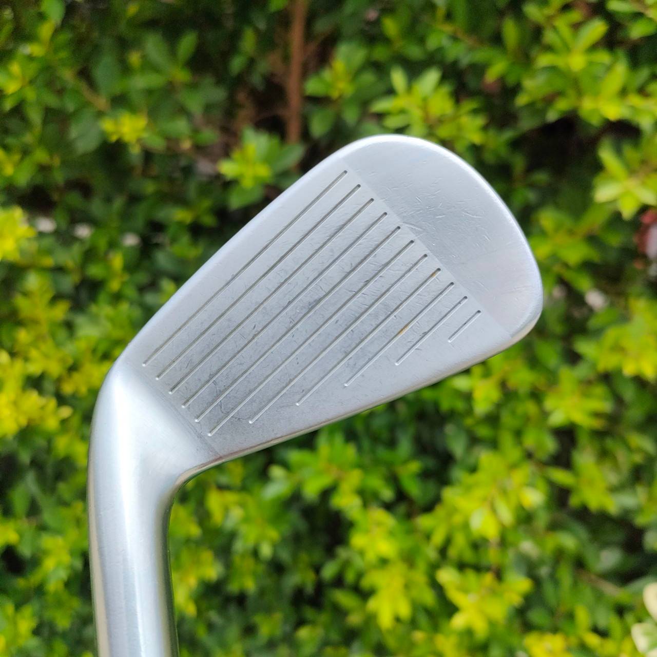 ชุดเหล็ก TITLELIST MB FORGED รุ่น 712 มีเหล็ก 3-9 เเละ PW ก้าน DYNAMIC GOLD FLEX R300 เหล็ก Muscle Back ที่น่าตีที่สุด