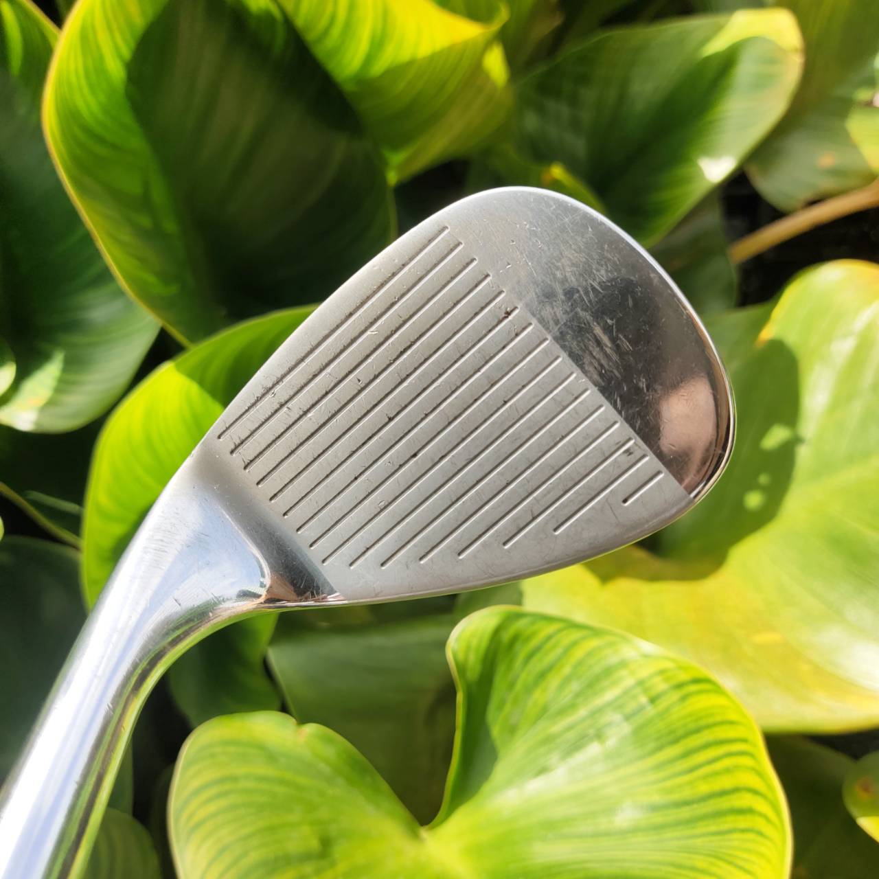 WEDGE CLEVELAND REG 588 องศา 56 FLEX WEDGE รุ่น 588 เป็นรุ่นที่ดังมากที่สุด