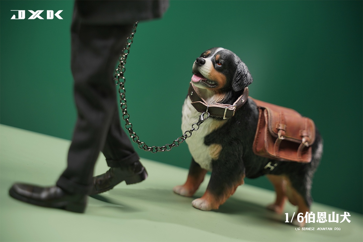 [สั่งจอง]JXK JXK144 1/6 : Bernese Mountain Dog