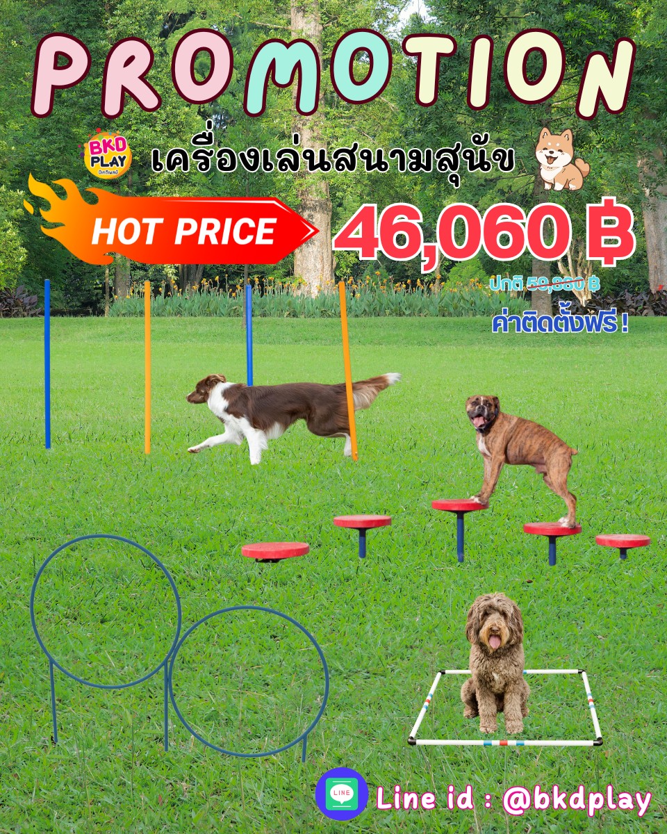 เครื่องเล่นสนามสุนัขจัดเซ็ท ราคาโปรโมชั่น 46,060 บาท, ฝึกสุนัข ,อุปกรณ์เสริมน้องหมา dog playground