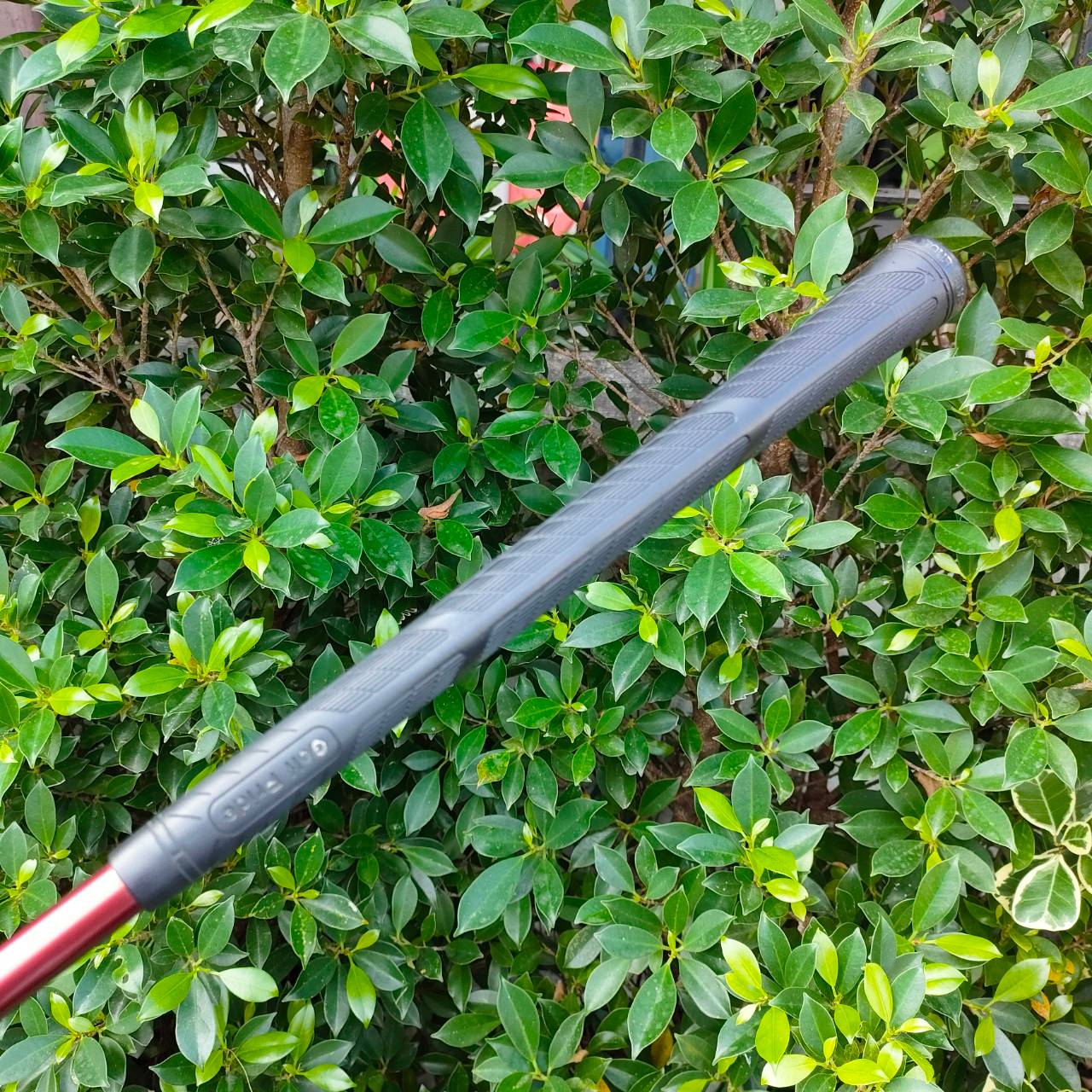 DRIVER KING COBRA SPEED LD SOON INERTIA ก้าน ALDILA NV FLEX R องศา 9 หัวดี ตีไกล หน้าเด้ง ตีง่าย กระดองรีดพลัง เด้งมากๆ ก้าน ALDILA ก้านดีมากครับ COBRA เน้นตีง่าย ตีไกล เสียงสนั่น