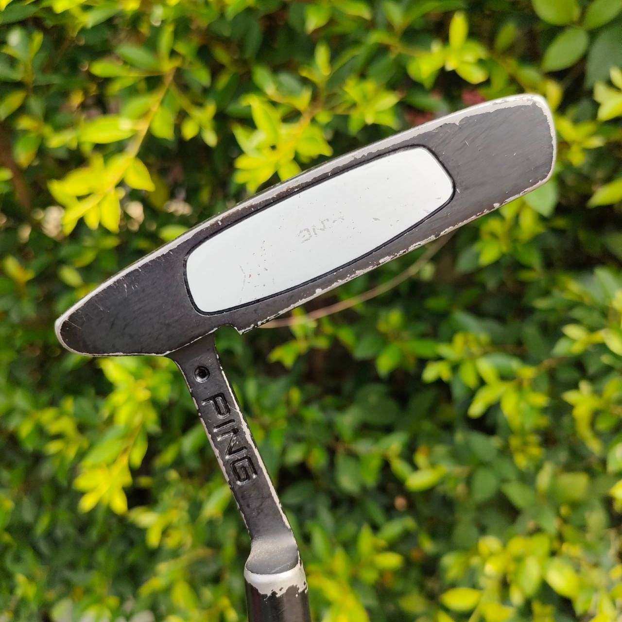 PUTTER PING SCOTTSDALE ความยาว 34 นิ้ว ก้าน PING