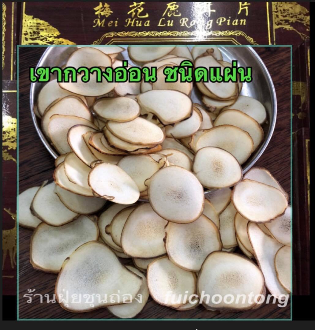 เขากวางอ่อน