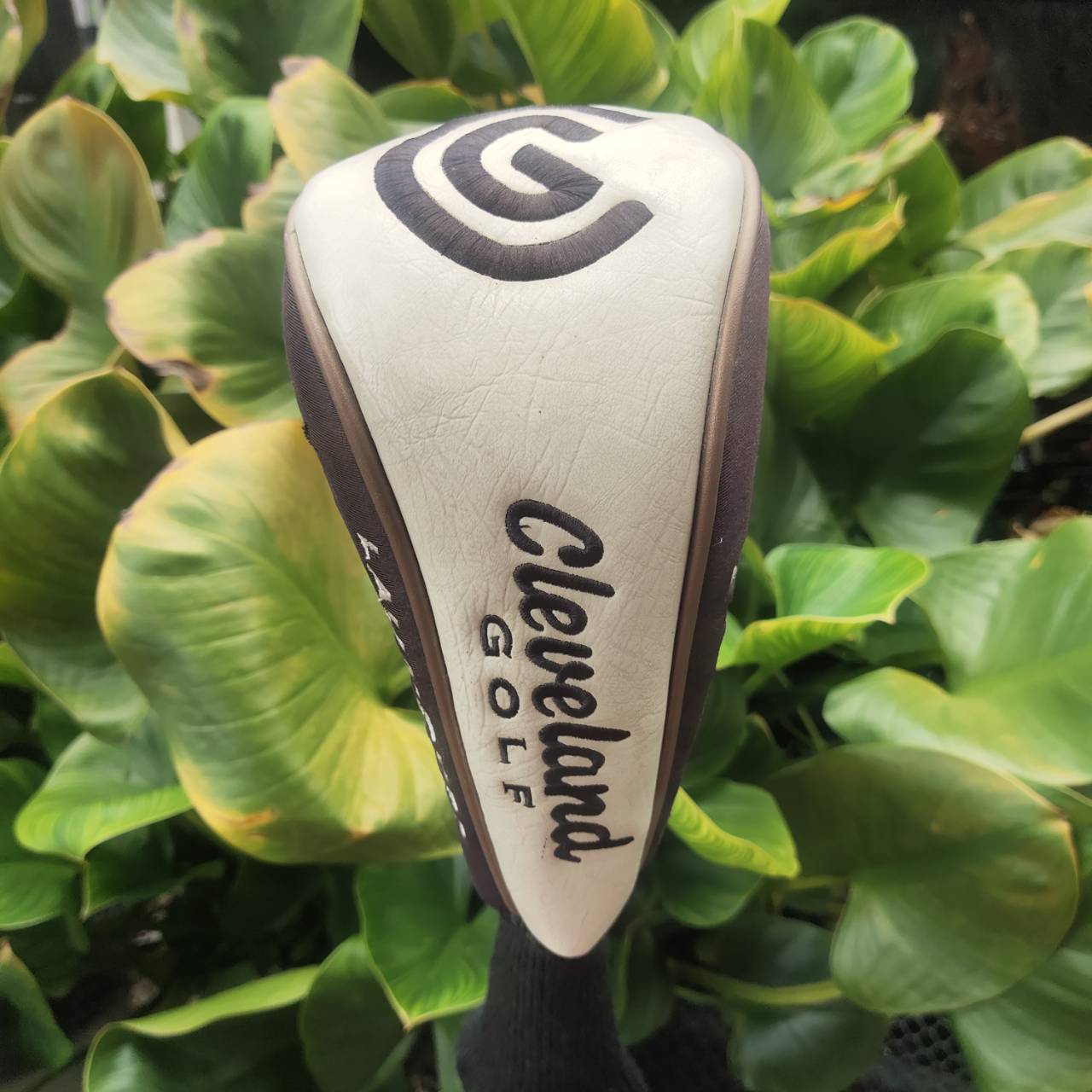 Driver Cleveland Ti460 มือสอง – เสียงแน่น ไกล คุ้มราคา!! สำหรับสายตีตรง ไกล ไม่ต้องจ่ายแพง