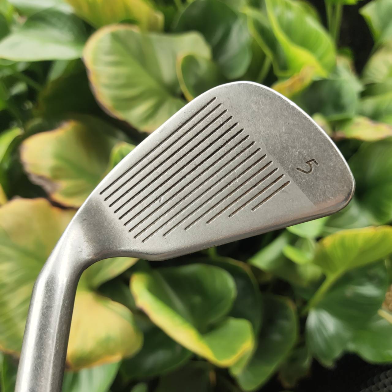 ชุดเหล็ก PING EYE2 เป็นหนึ่งในเหล็กที่ “ปฏิวัติ” วงการกอล์ฟ และเป็นต้นแบบของเหล็ก PING ทุกชุด!