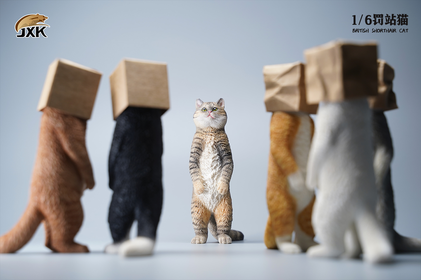 [สั่งจอง] JXK JXK084 1/6 : British Shorthair Cat