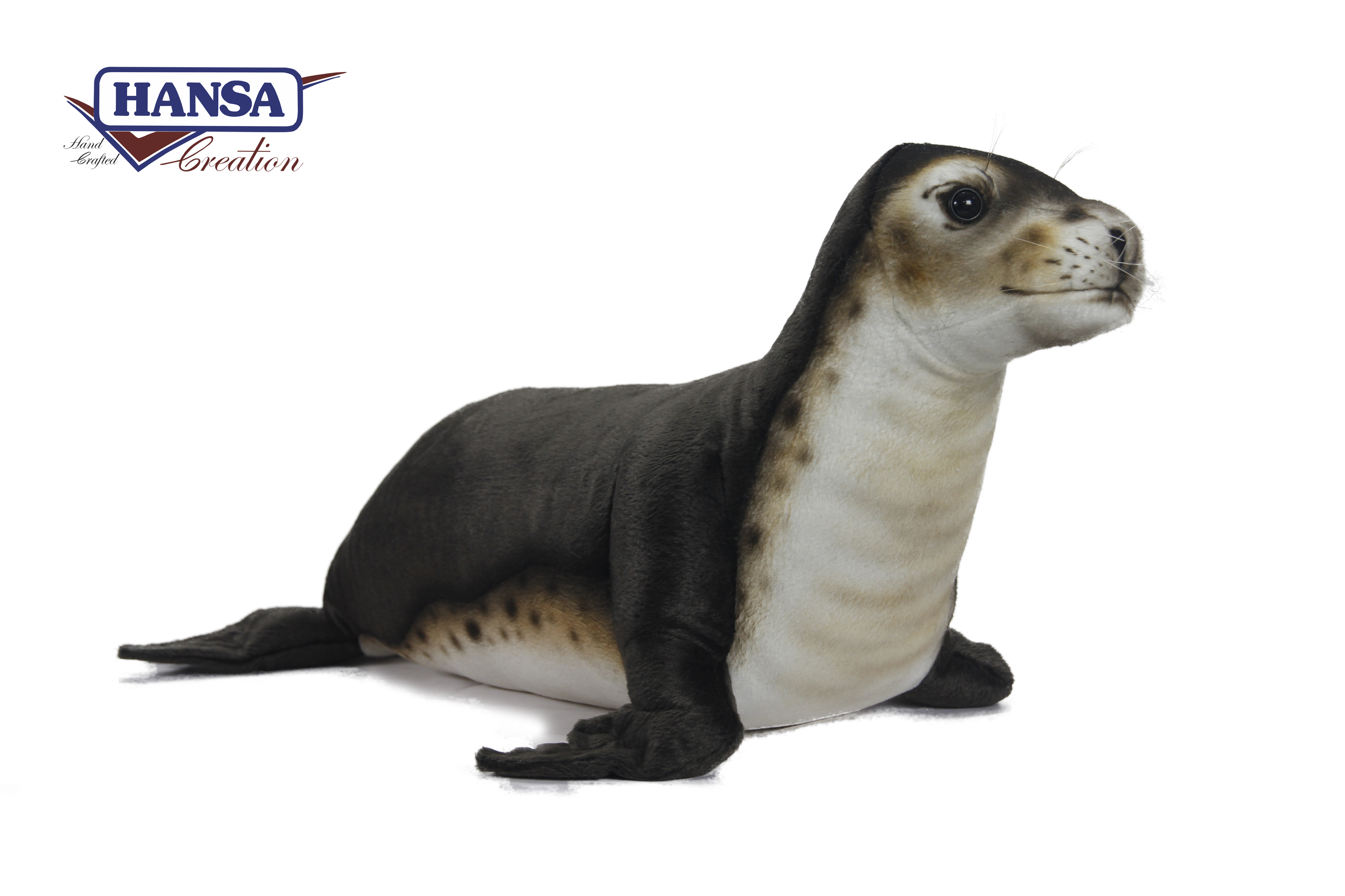 6791 Seal Monk 65 cm.L