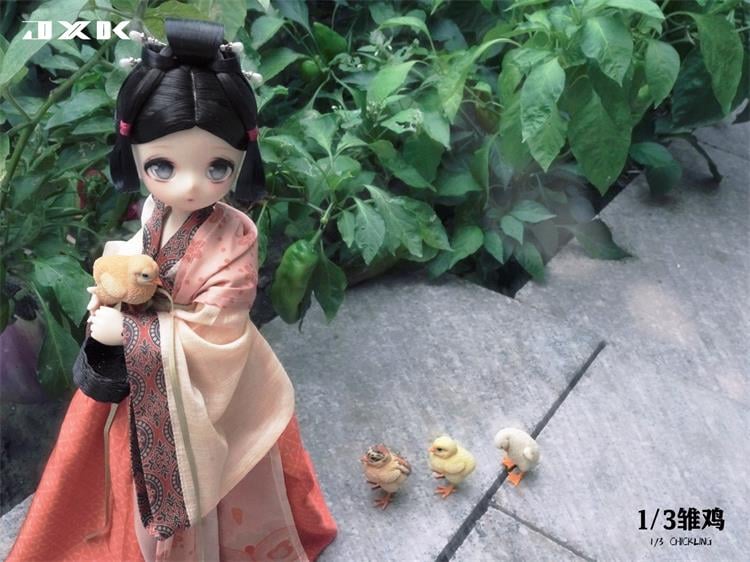 [สั่งจอง]JXK : Scottish Fold/Chckling/Duckling