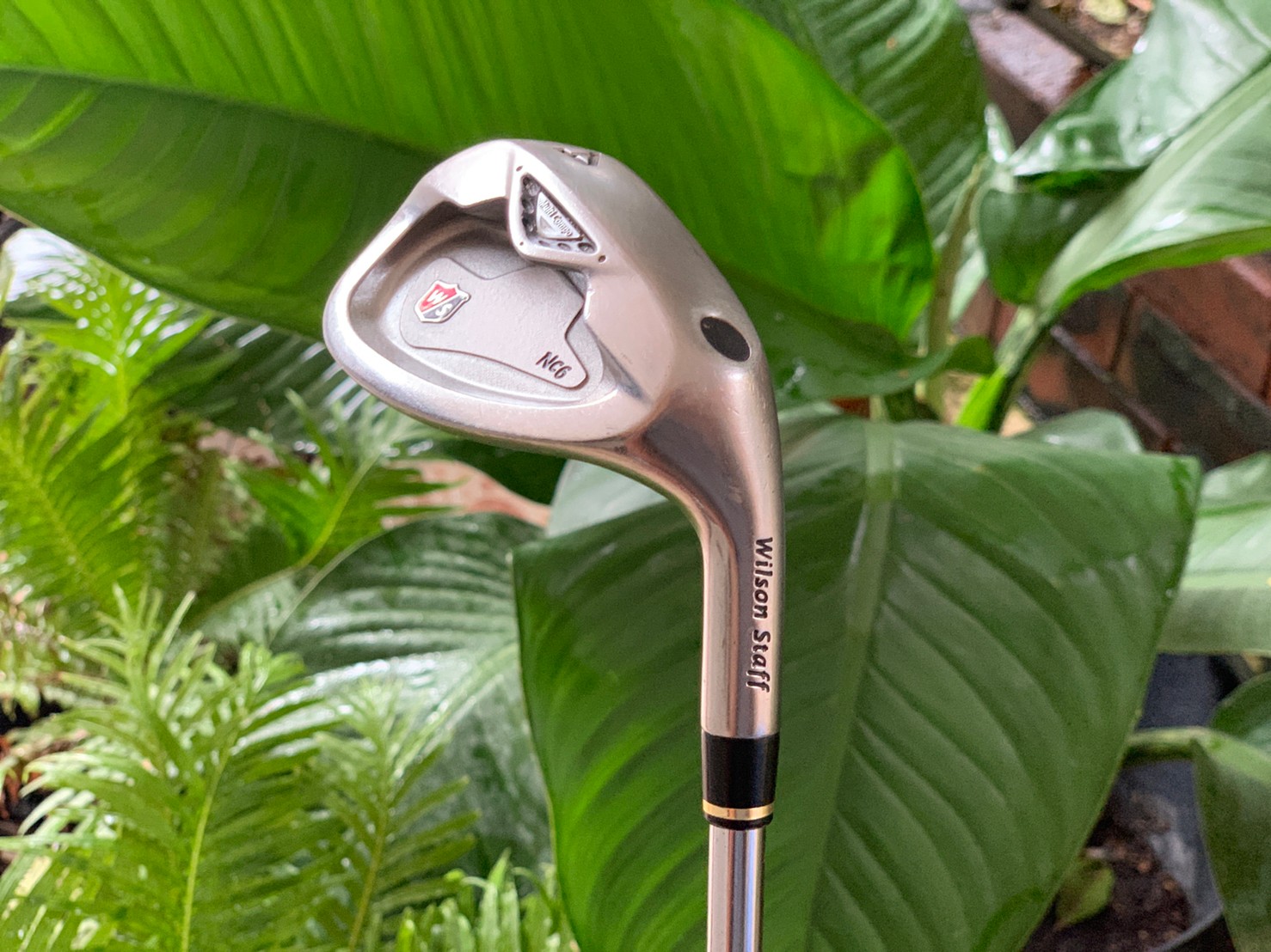 เหล็ก AW wilson staff