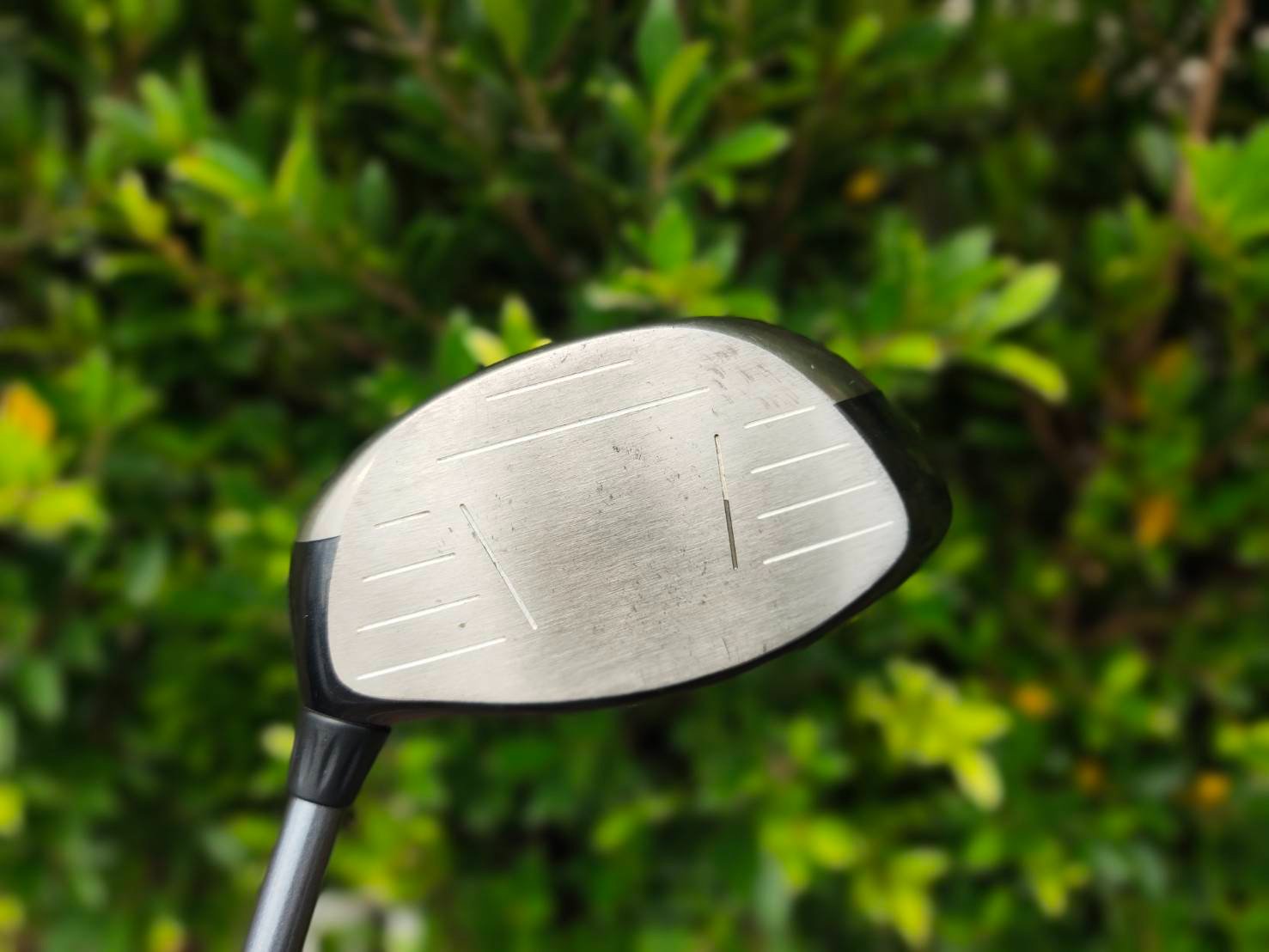 Driver Callaway E.R.C.II FORGED TITANIUM หน้าเด้ง ตัวนี้ตีไกลมากๆ มี COVER