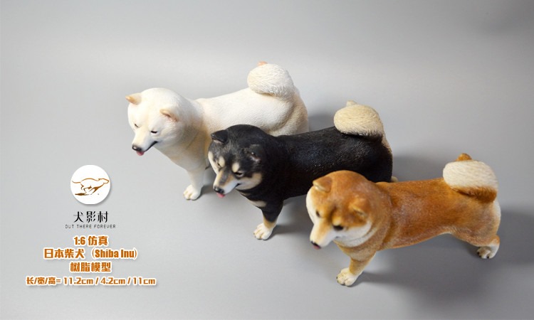 [สั่งจอง]SGTOYS S-010,S-011,S-012 1/6 Animal Model Chihuahua/ Rottweiler/ Springer Spaniel/Shiba Inu