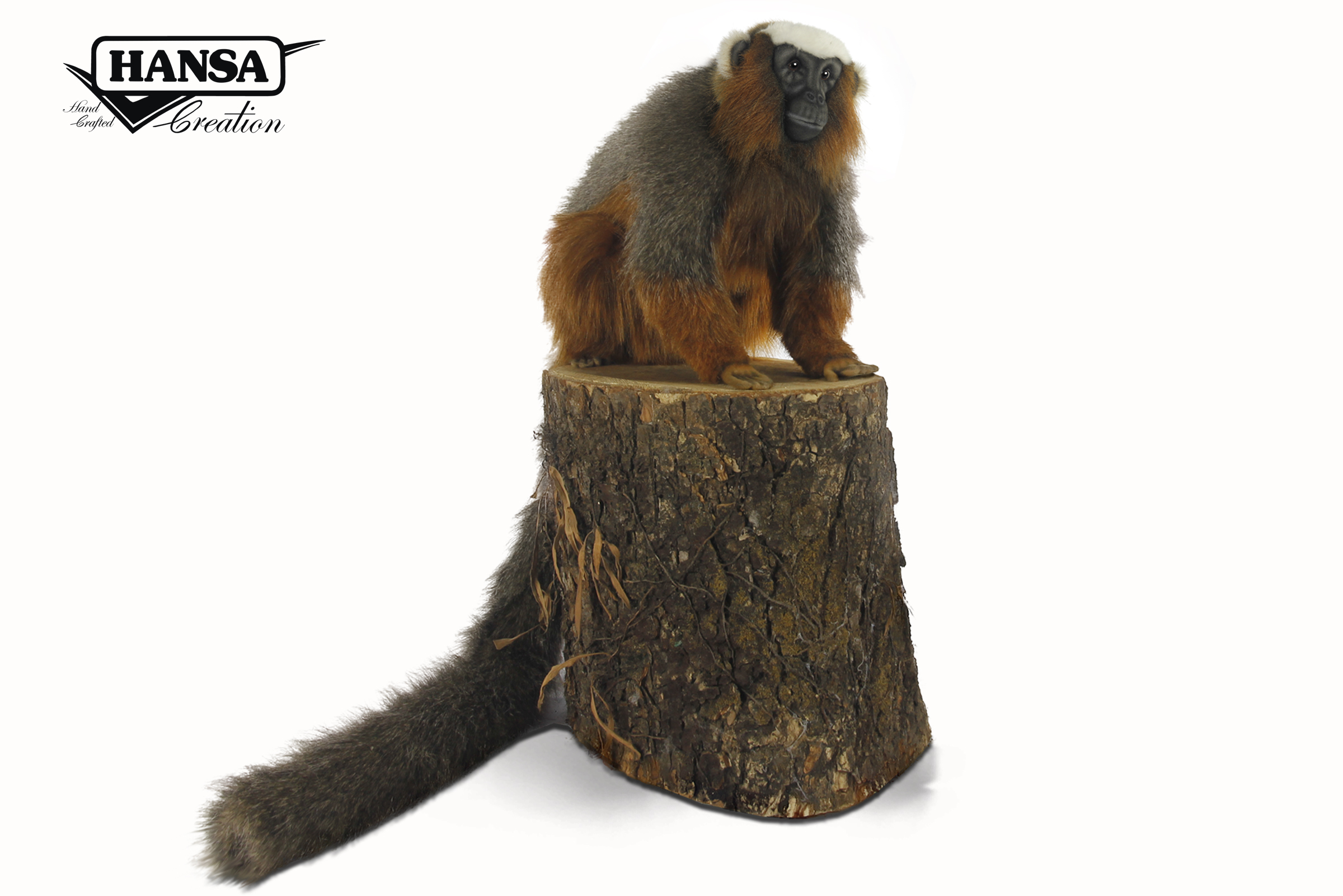 7489 Titi Monkey 50 cm. L