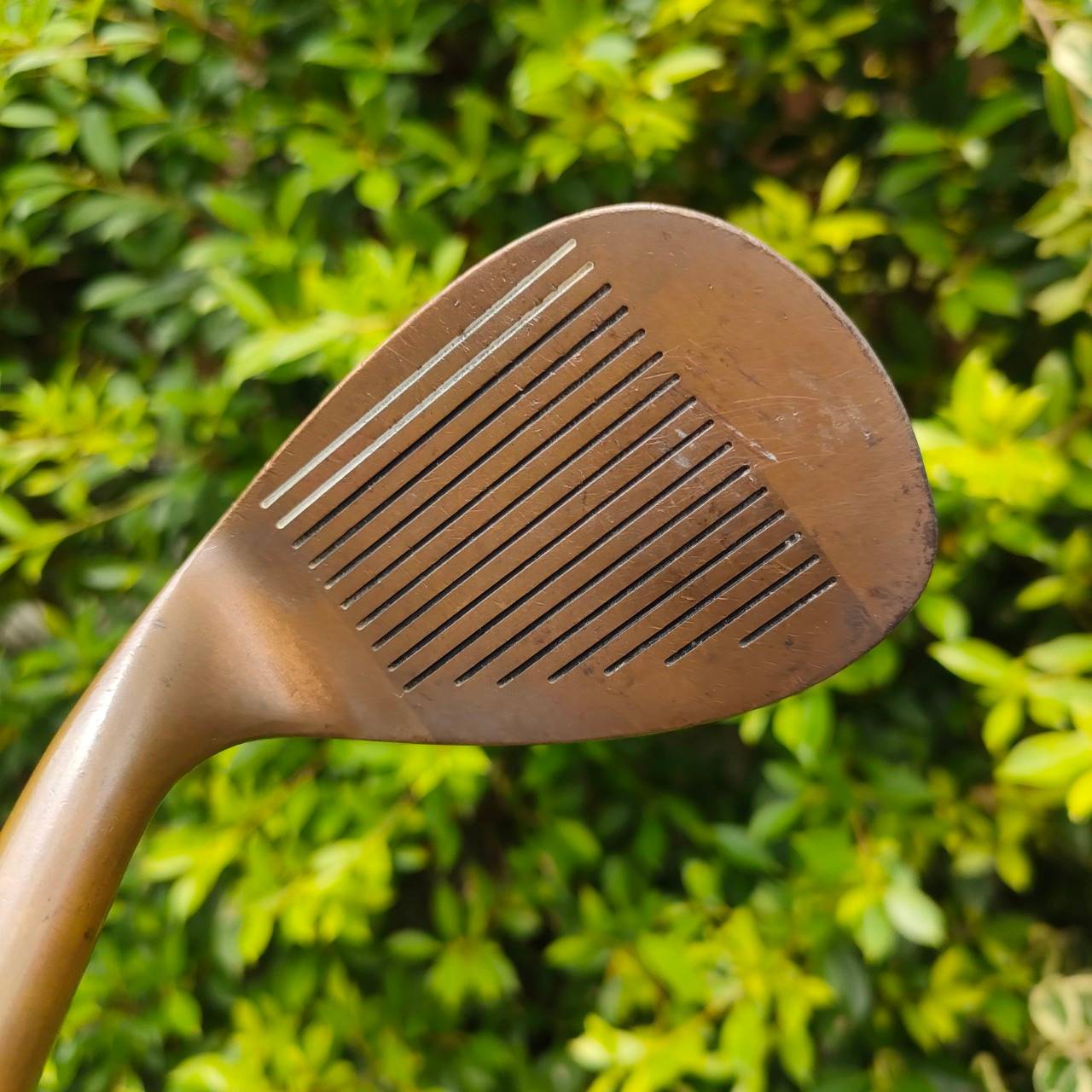 WEDGE PRO DRIVE วัสดุพรีเมี่ยม BERYLLIUM COPPER องศา 56 FLEX WEDGE ร่องลึกคมจัด สปินจัดตกหยุดถอยเลยครับ!!!
