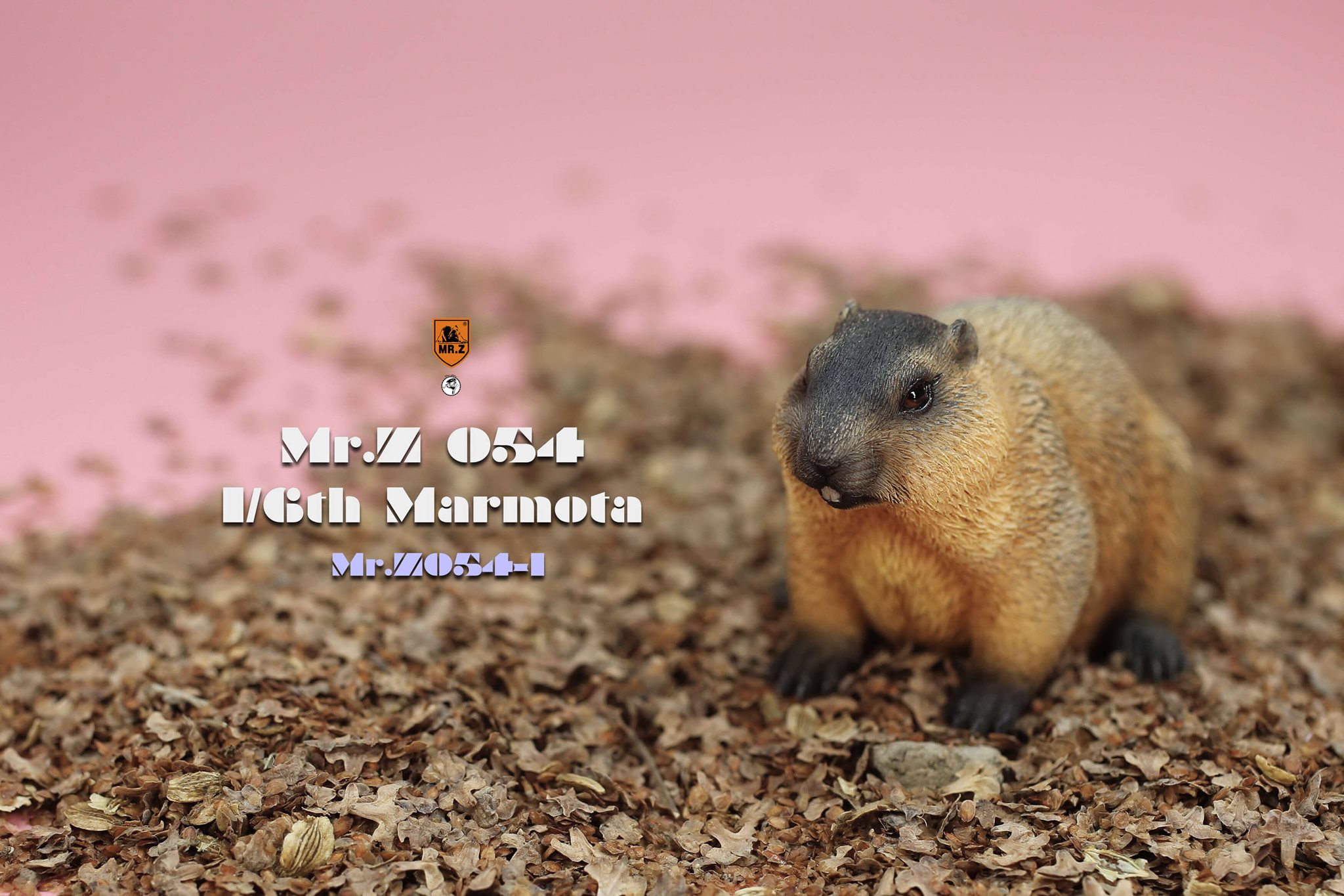 [สั่งจอง]Mr.Z MRZ054 1/6 : Animal Model - Marmota