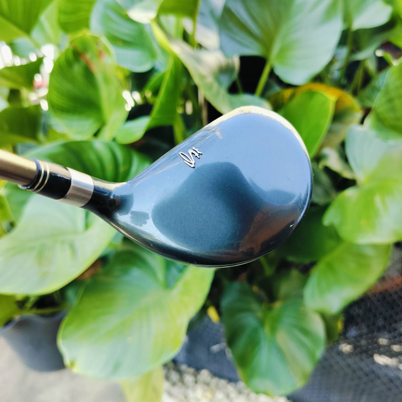 Driver KING COBRA SS องศา 9 หน้าเด้ง วัสดุ HYPER STEEL ตีสนุกมากๆ หาฟีลลิ่งนี้ยากเลย ไม้กอล์ฟพรีเมี่ยมมือสอง ของแท้ By NakaraLuxurious