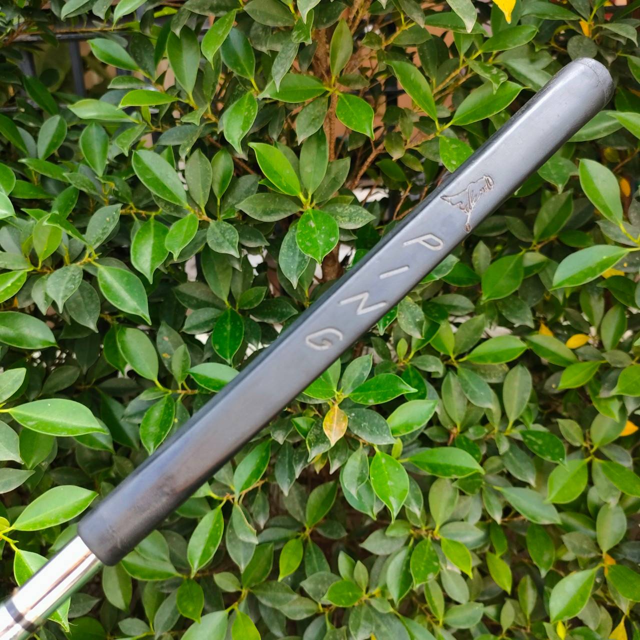 PUTTER PING PAL2 ความยาว 34 นิ้ว ก้าน PING KARSTEN