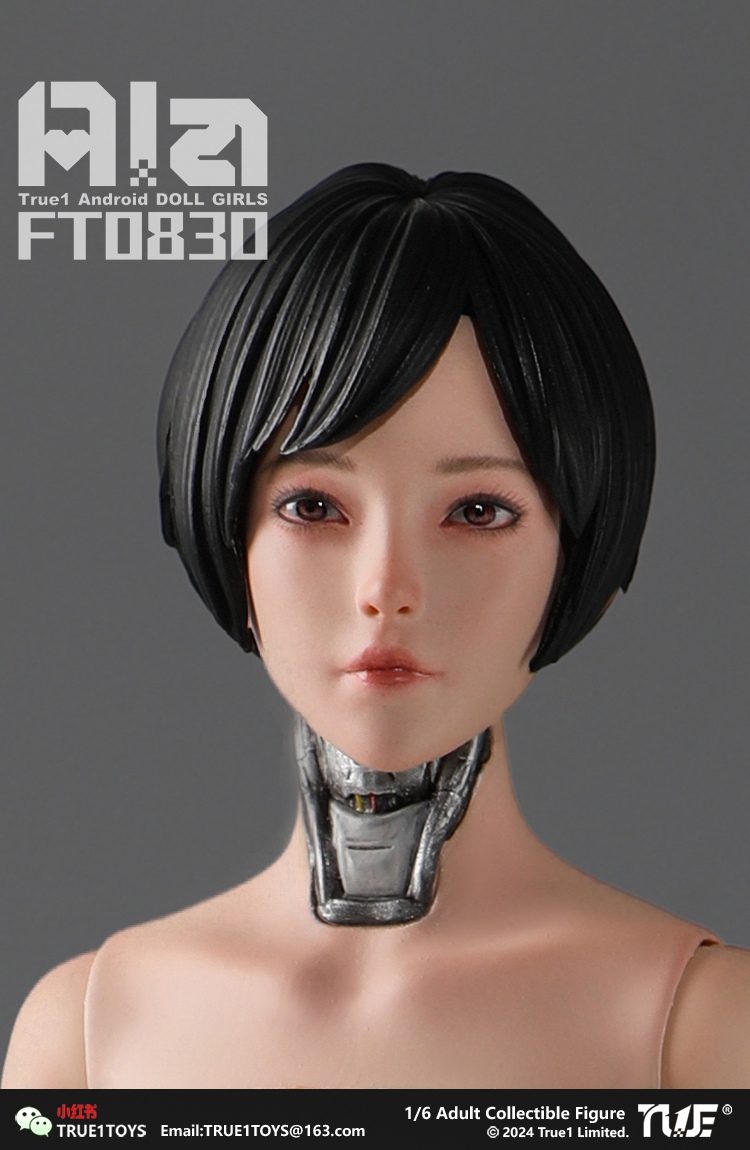[พร้อมส่ง] True1Toys FT0830 1/6 : Android Ala Action Figure