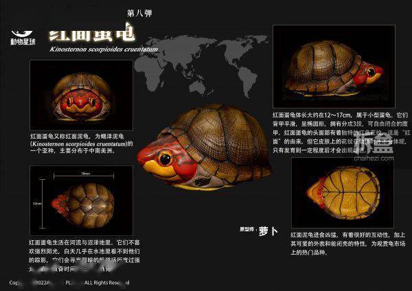 [สั่งจอง]Animal Planet : Heart Wide Body Fat Eighth Reptile Figure Static Animal Model