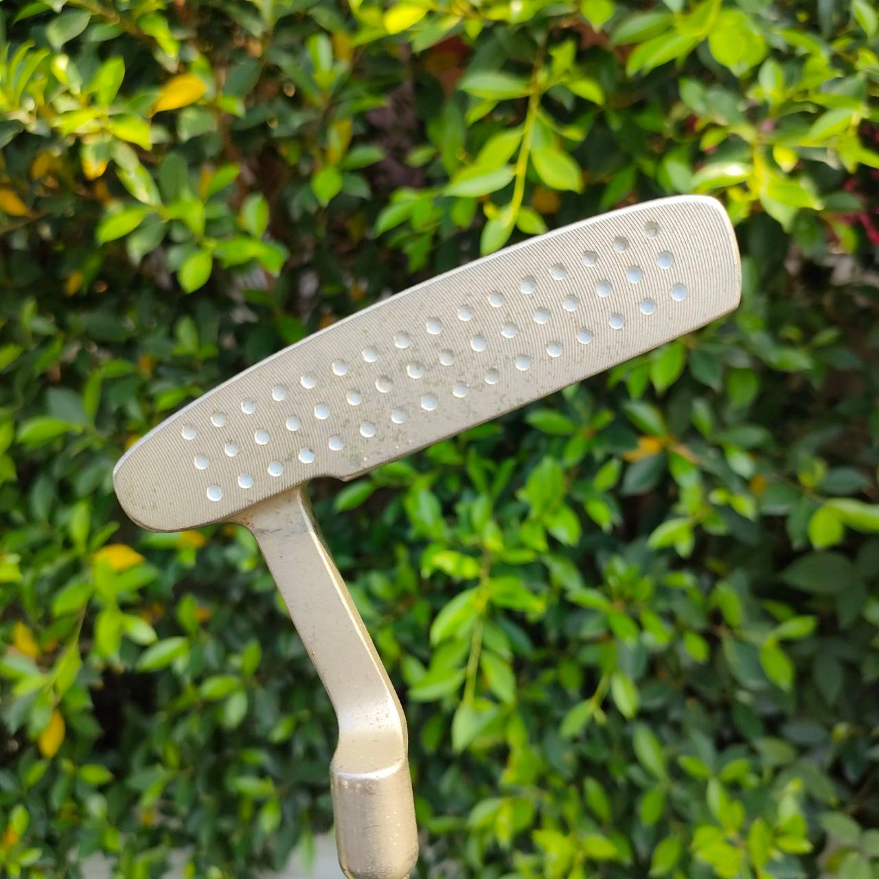 PUTTER DUNLOP DDH DF01 ความยาว 34 นิ้ว กริฟ SUPER STROKE เเบบใหญ่ รุ่นนี้น่าใช้มาก หน้าสัมผัสแบบพิเศษ มี MILLIED + ปุ่มพิเศษ ให้กัดไปกับ รอบบุ๋มของลูกกอล์ฟ ทำให้ลูกหมุน ออกจากหน้าไม้ เกาะไลน์แบบสุดๆ น้ำหนักก็ดี กริพแบบเต็มไม้เต็มมือครับ